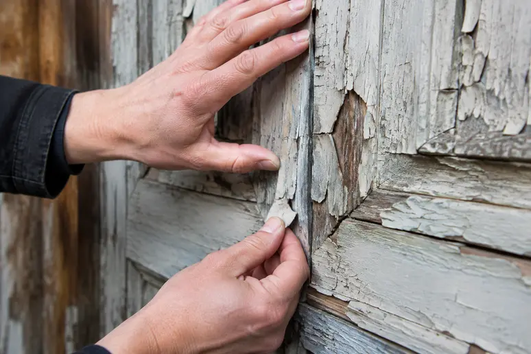 Diagnostic des fissures et des défauts du bois sur une porte ancienne